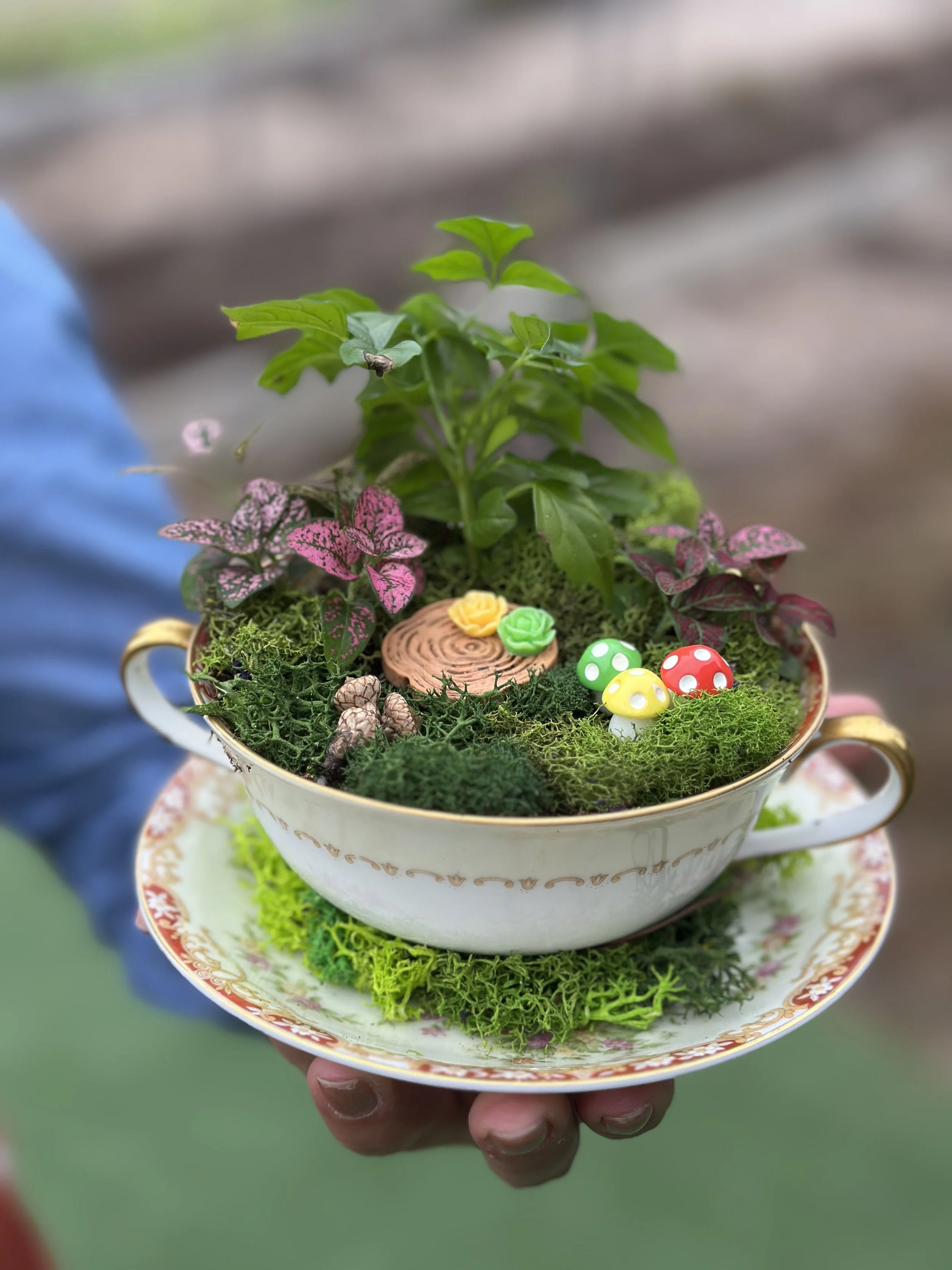 Vintage Tea Cup Garden