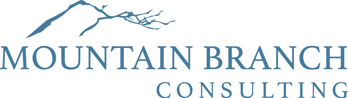 Mountain Branch Consulting