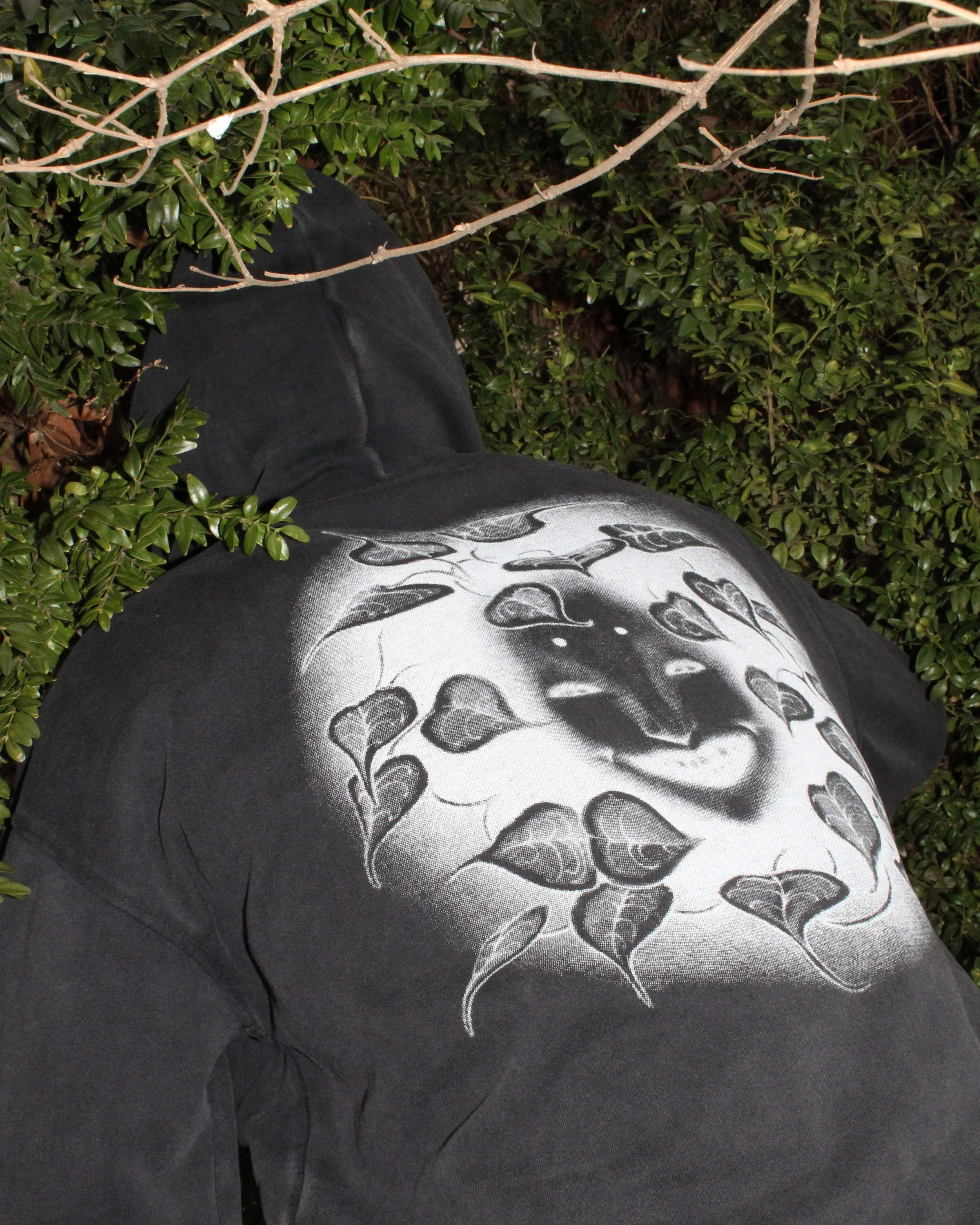 Quinn Chain Pics2.jpeg