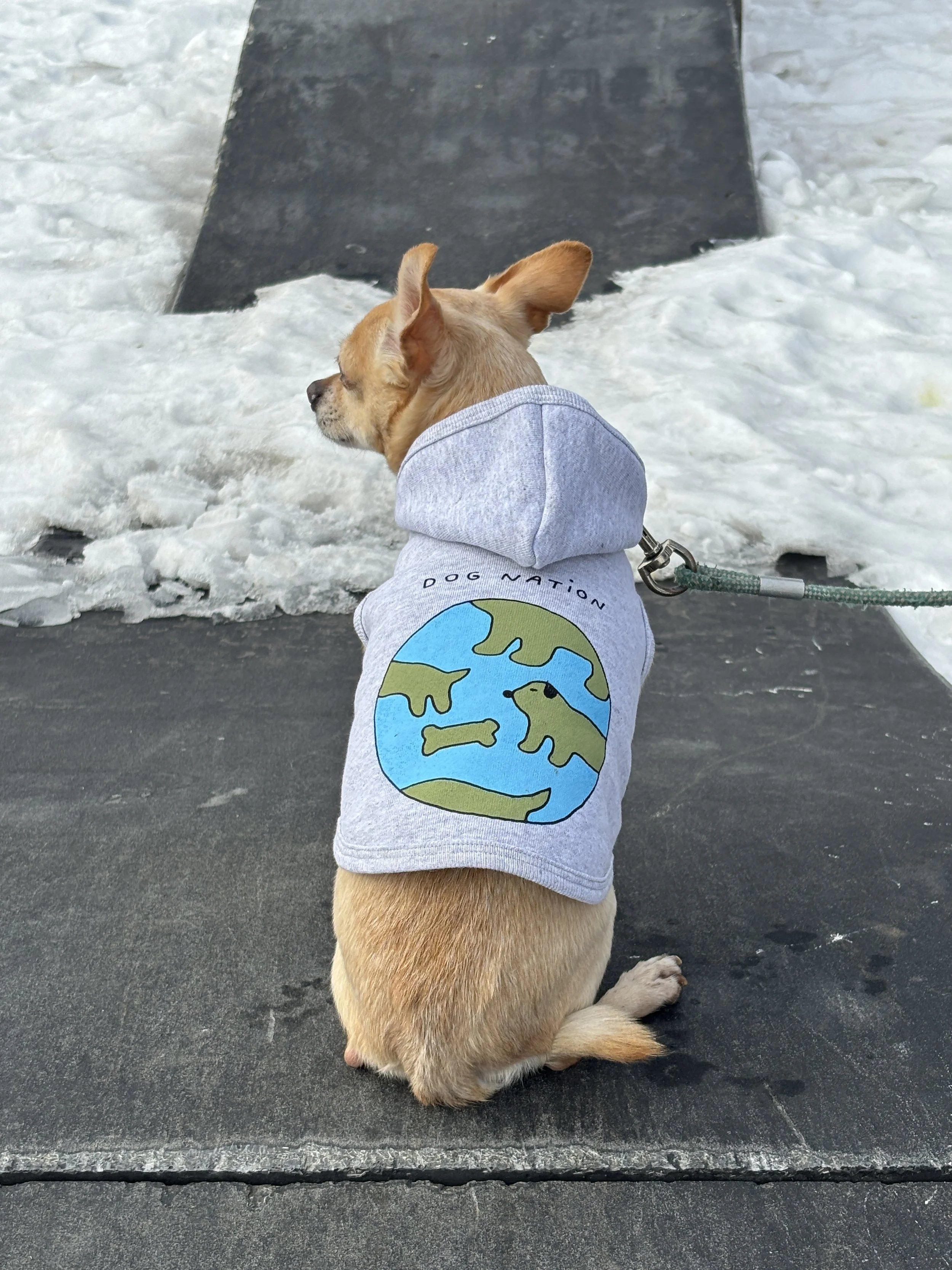 Dog Nation by Sam Maurer