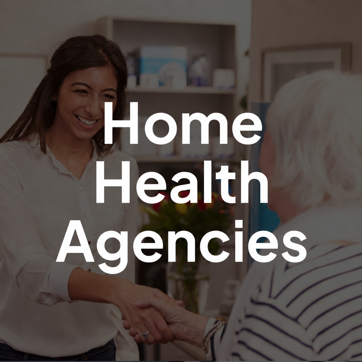 Home Health Agencies
