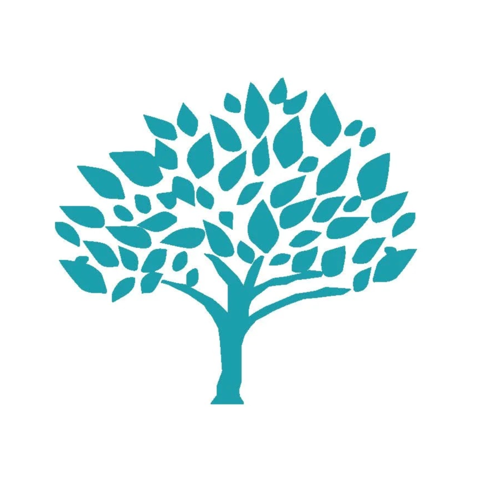 An Achieve Accreditation partner, blue tree logo