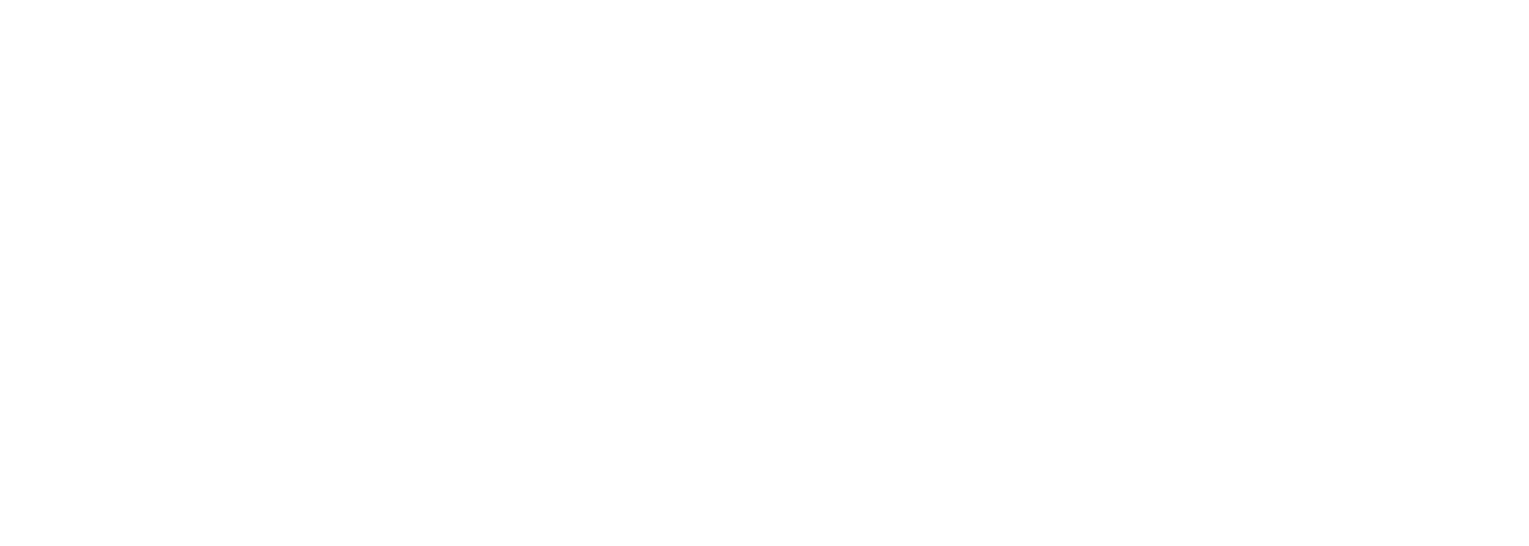 AA Website Long and small (11).png