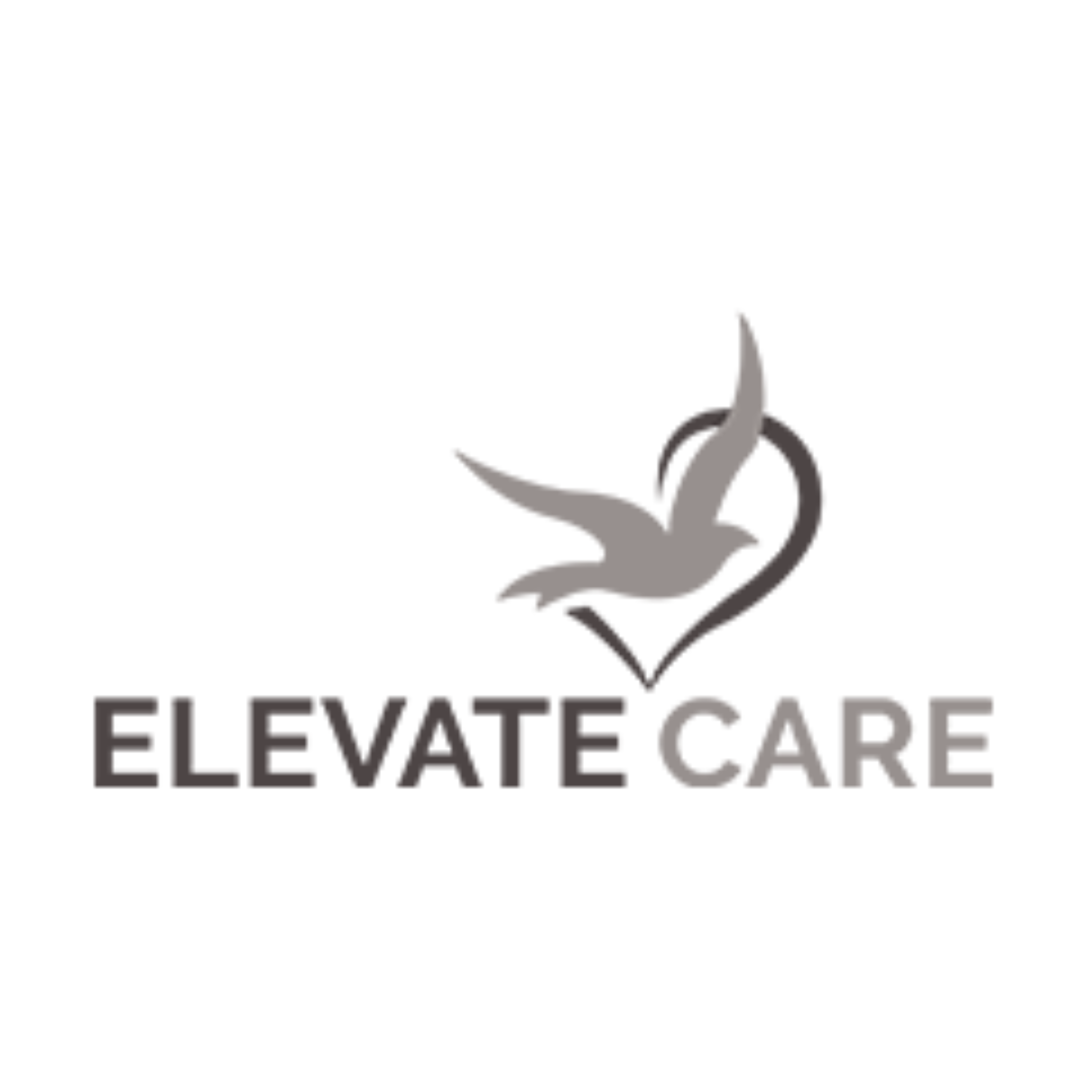 An Achieve Accreditation partner, Elevate Care logo