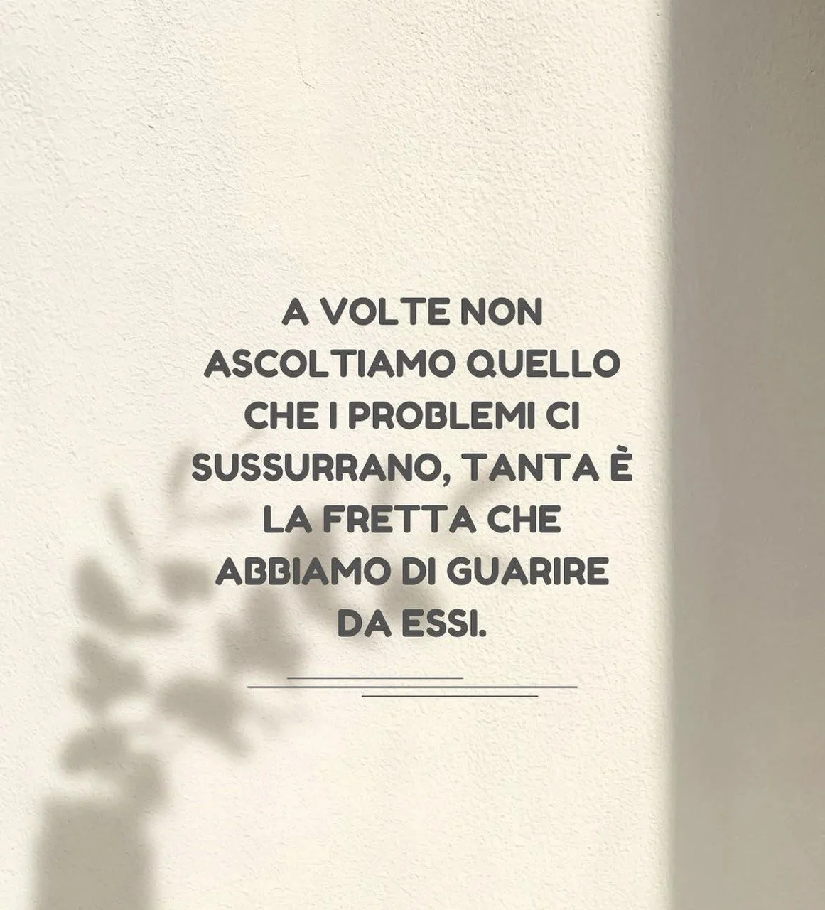 photo_2025-11-11 11.41.17.jpeg