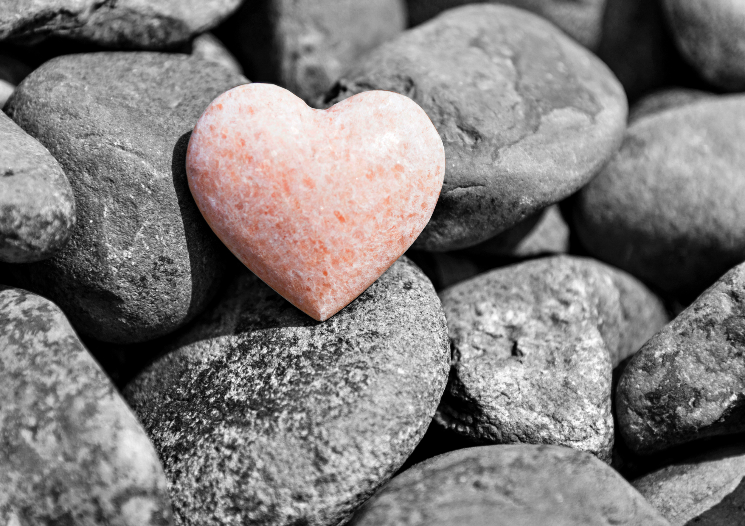 Tend to Your Heart Workshop