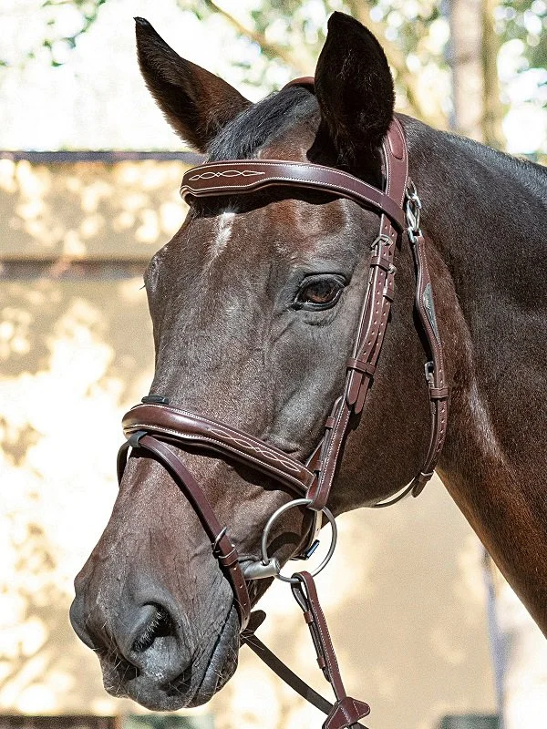 Equiline Anatomical Ready to Ride Bridle