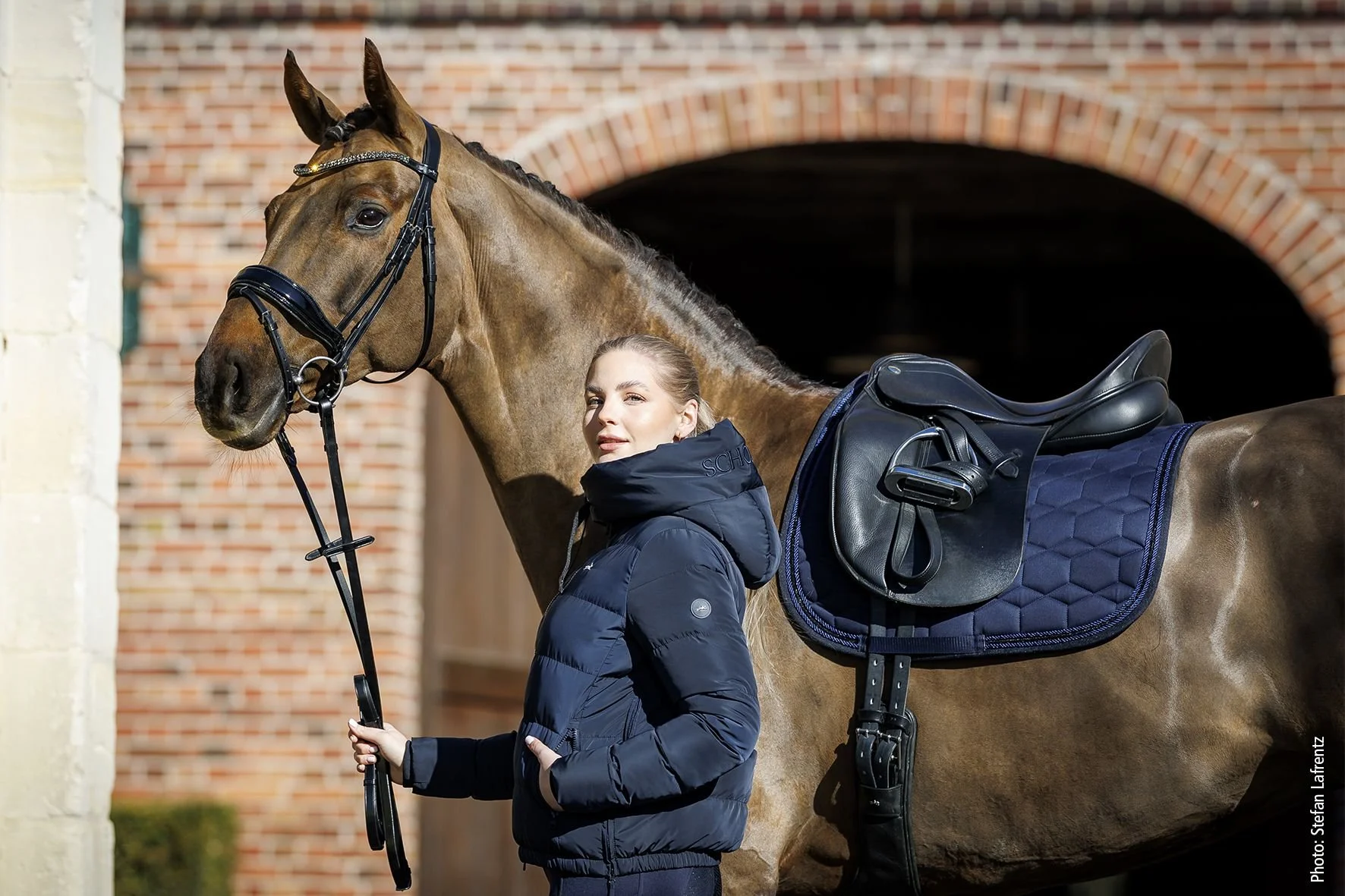 Schockemohle High Density S Style Saddle Pad
