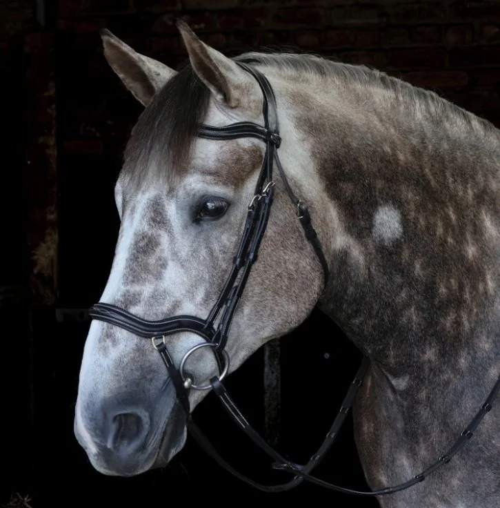 John Whitaker Stockholm Anatomic Bridle