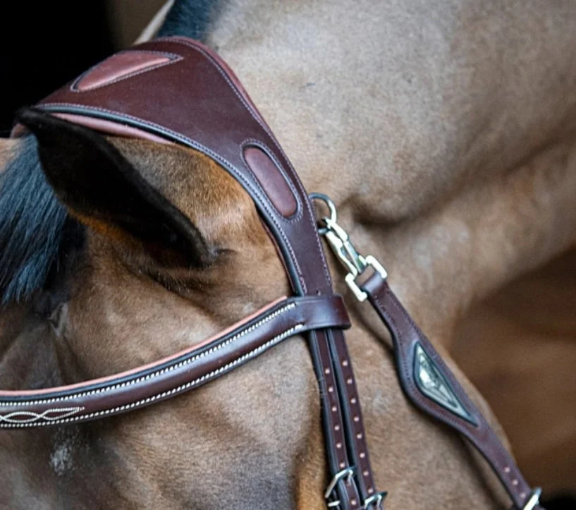 Equiline Anatomical Bridle