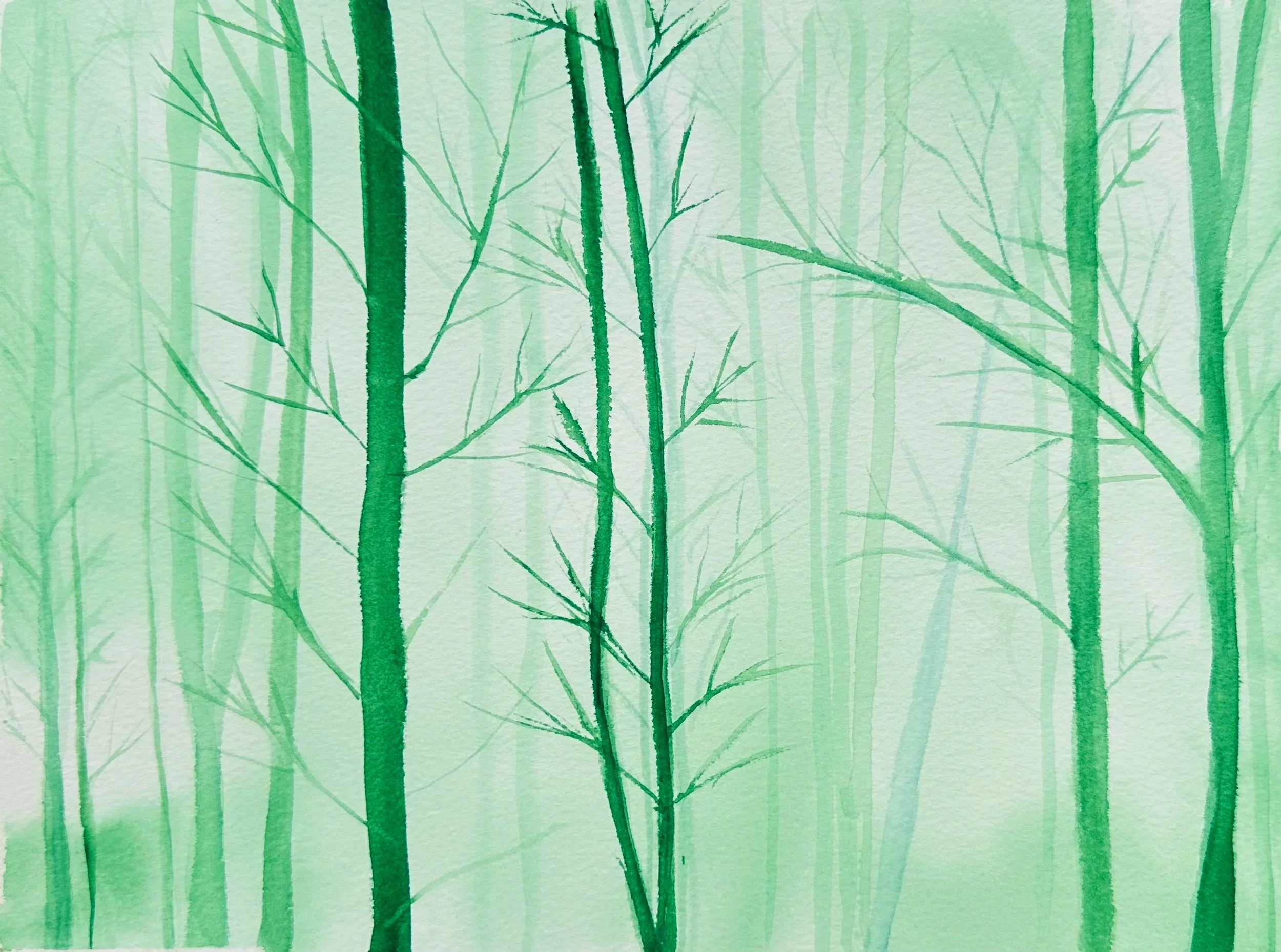 Les bambous
 Aquarelle sur papier
 31x23 cm