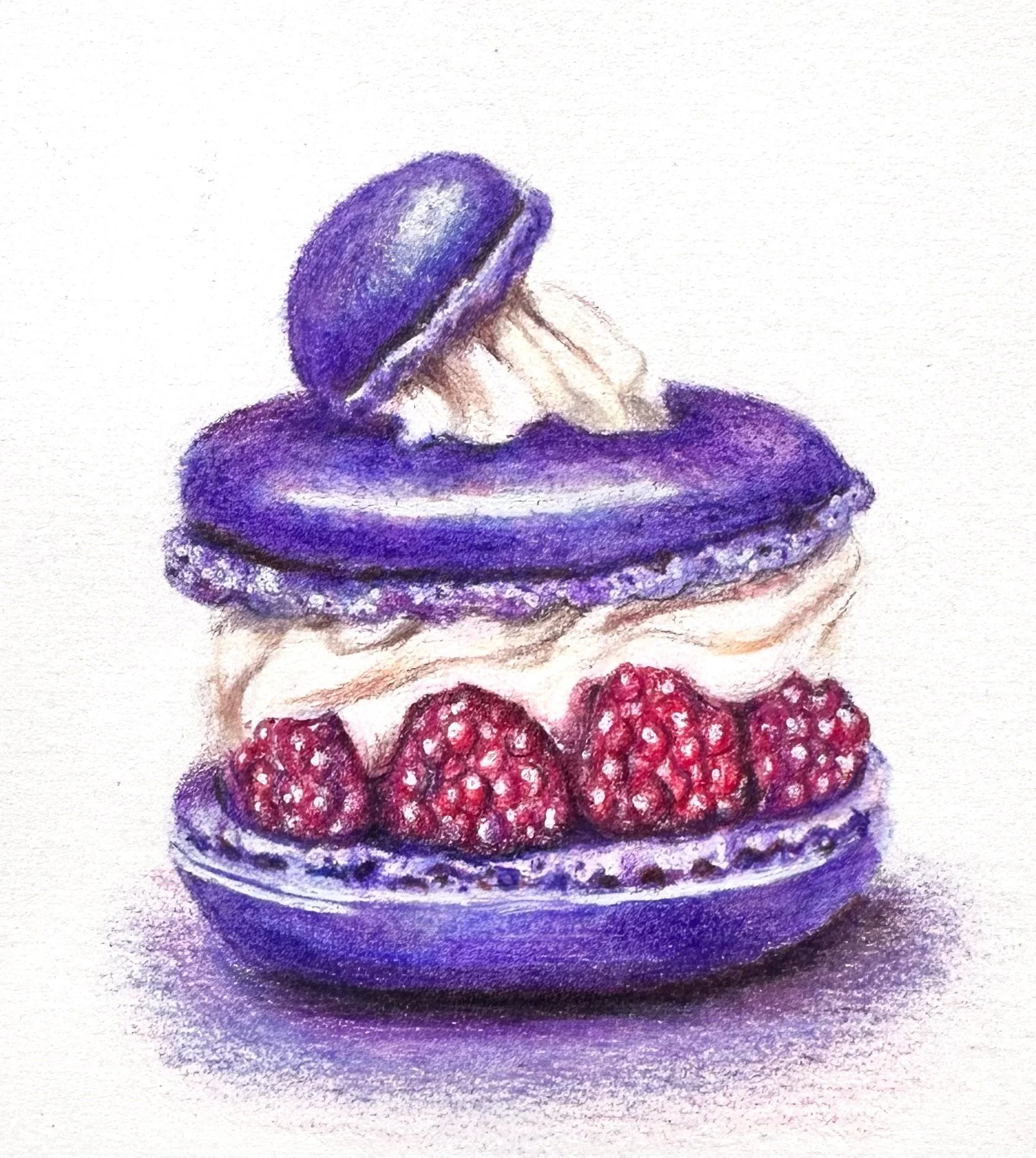 Le macaron aux framboises
 Crayons de couleur sur papier
 17,5x13,5 cm
  150 euros (encadré)