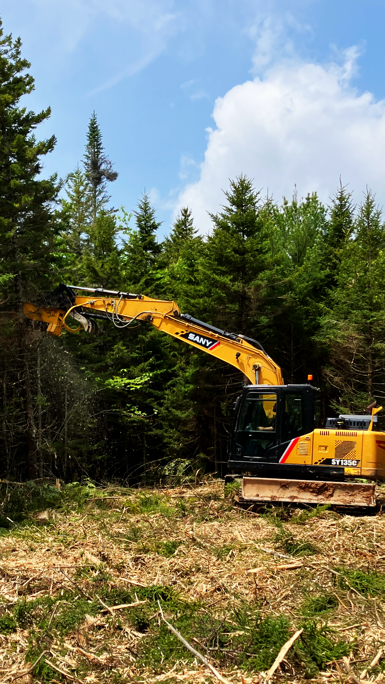 A yellow and black SANY excavator clearing trees in a forested area during daytime.