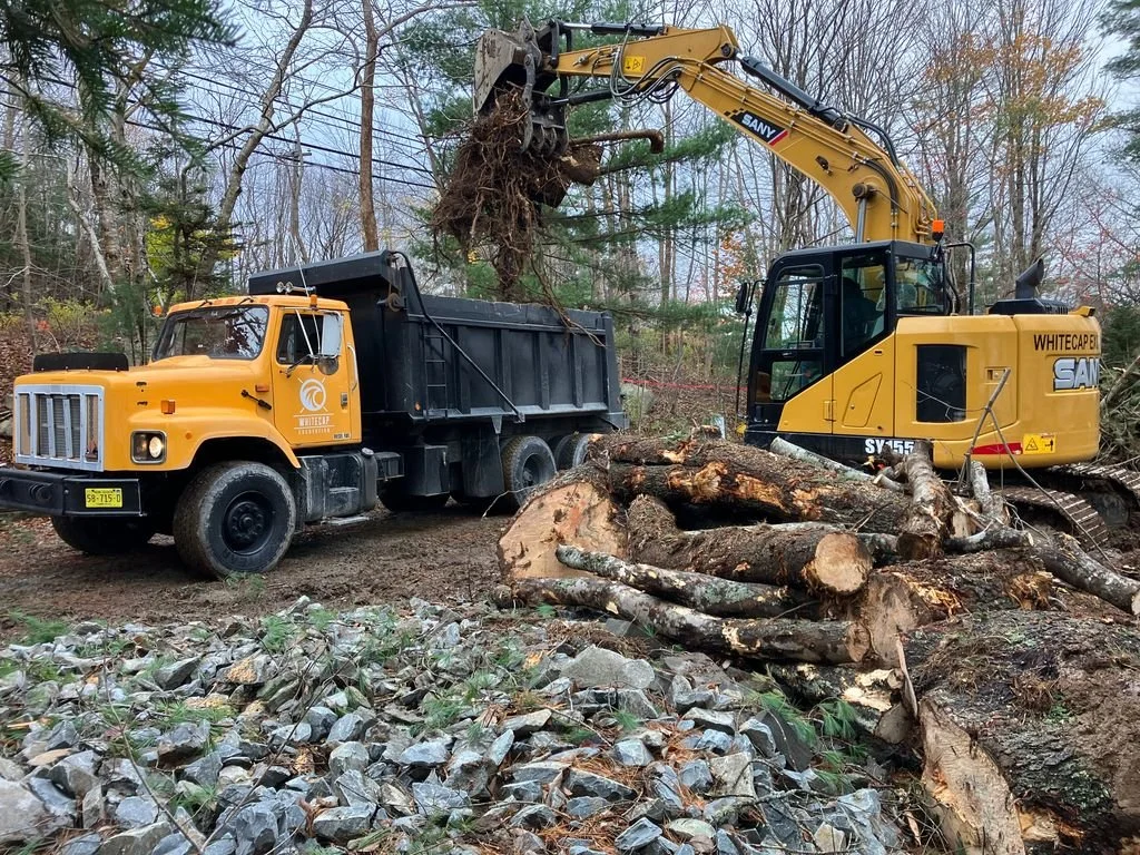 A construction site in a wooded area with a yellow excavator removing a fallen tree and loading it into a black dump truck. Rocks and debris are scattered on the ground.