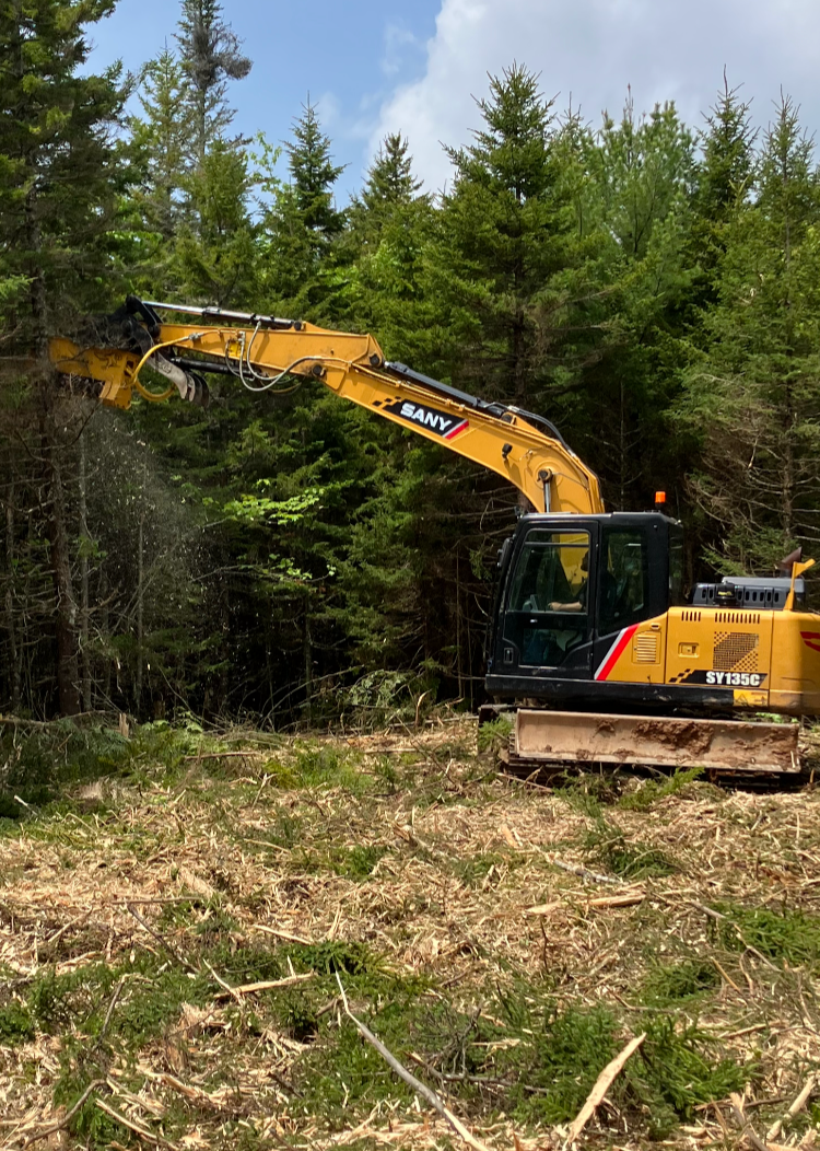 A yellow SANY excavator operating in a forested area during daytime, clearing trees and brush.