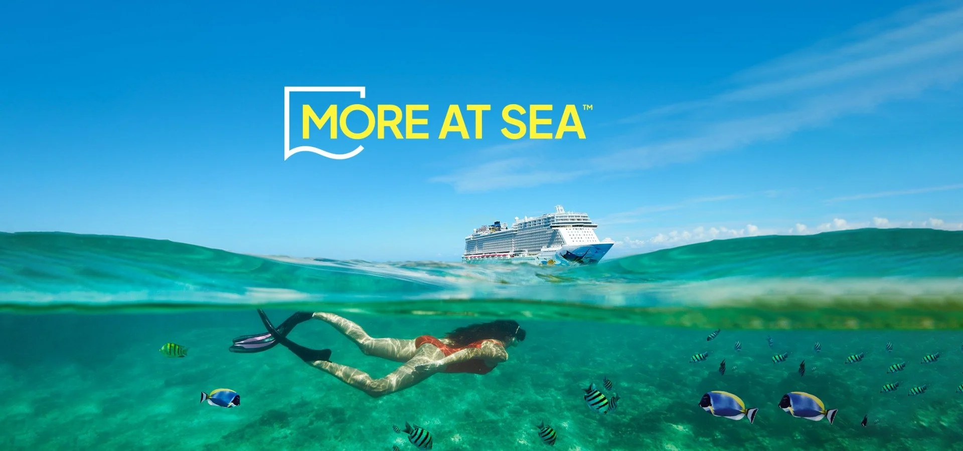 1916762_Hero_NCL-CONNECT-VERSION2.jfif