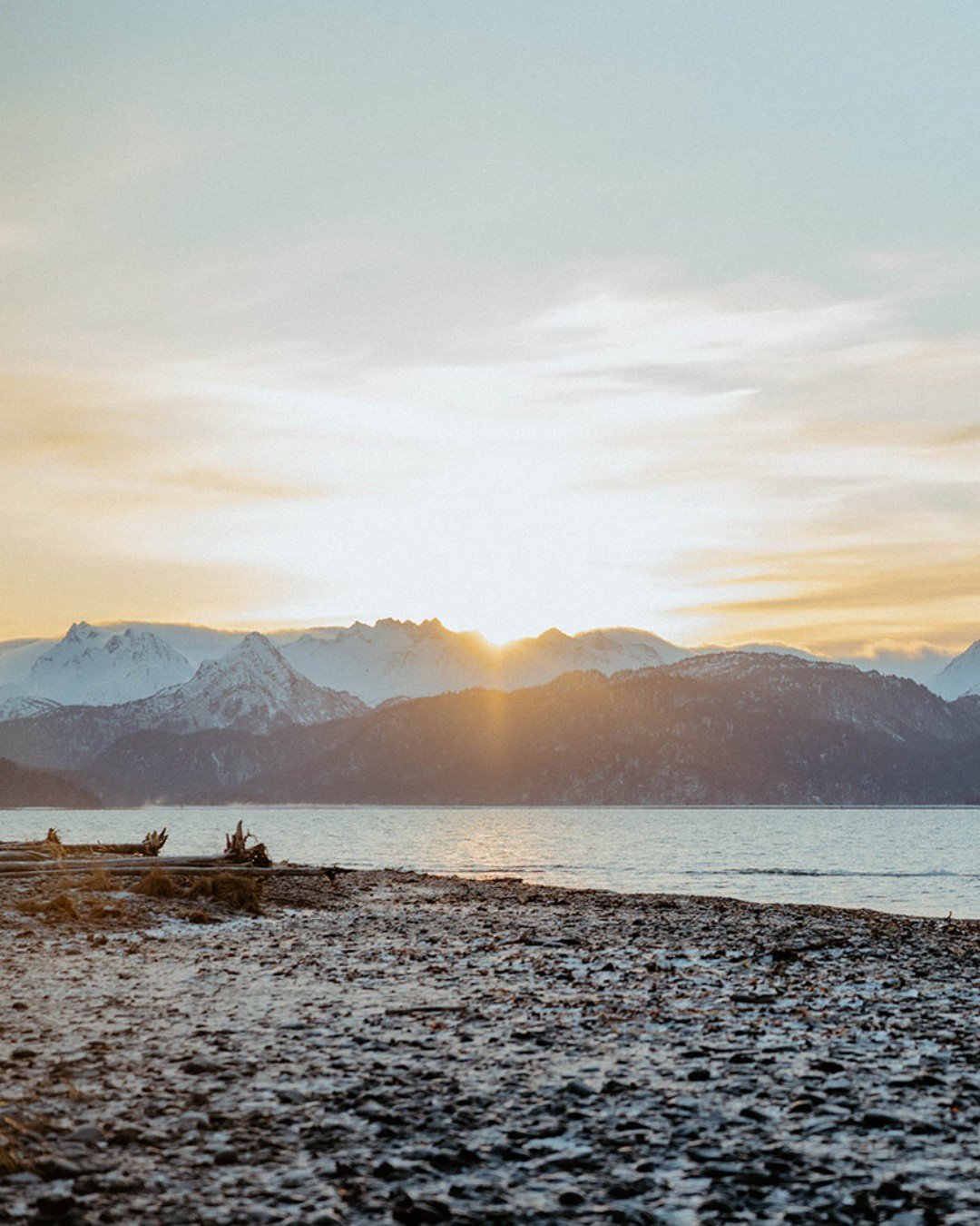 Homer, Saturday looks good on you.

#homerhothouse #homeralaska