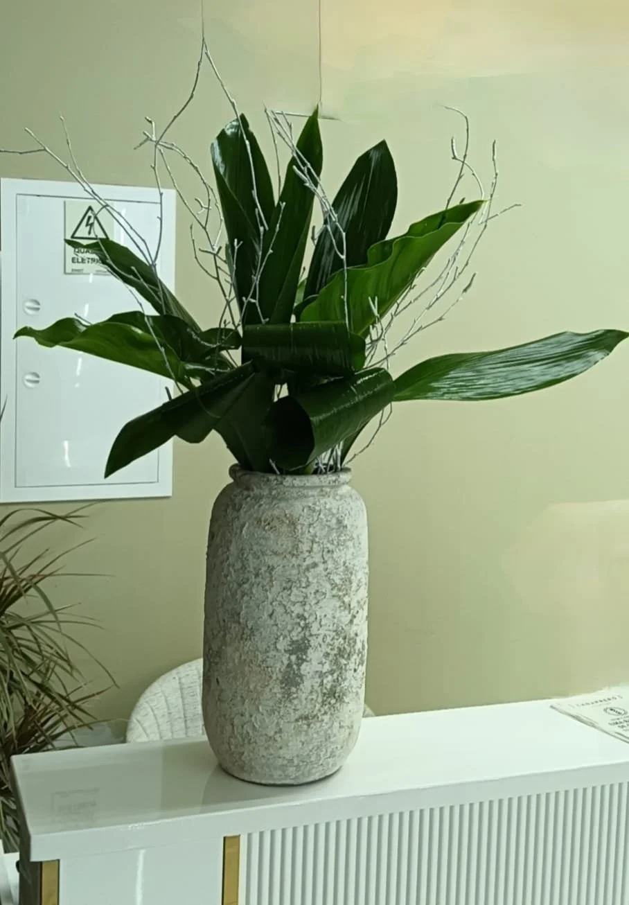 Imagen de WhatsApp 2025-11-05 a las 10.49.18_1033e4b4.jpg