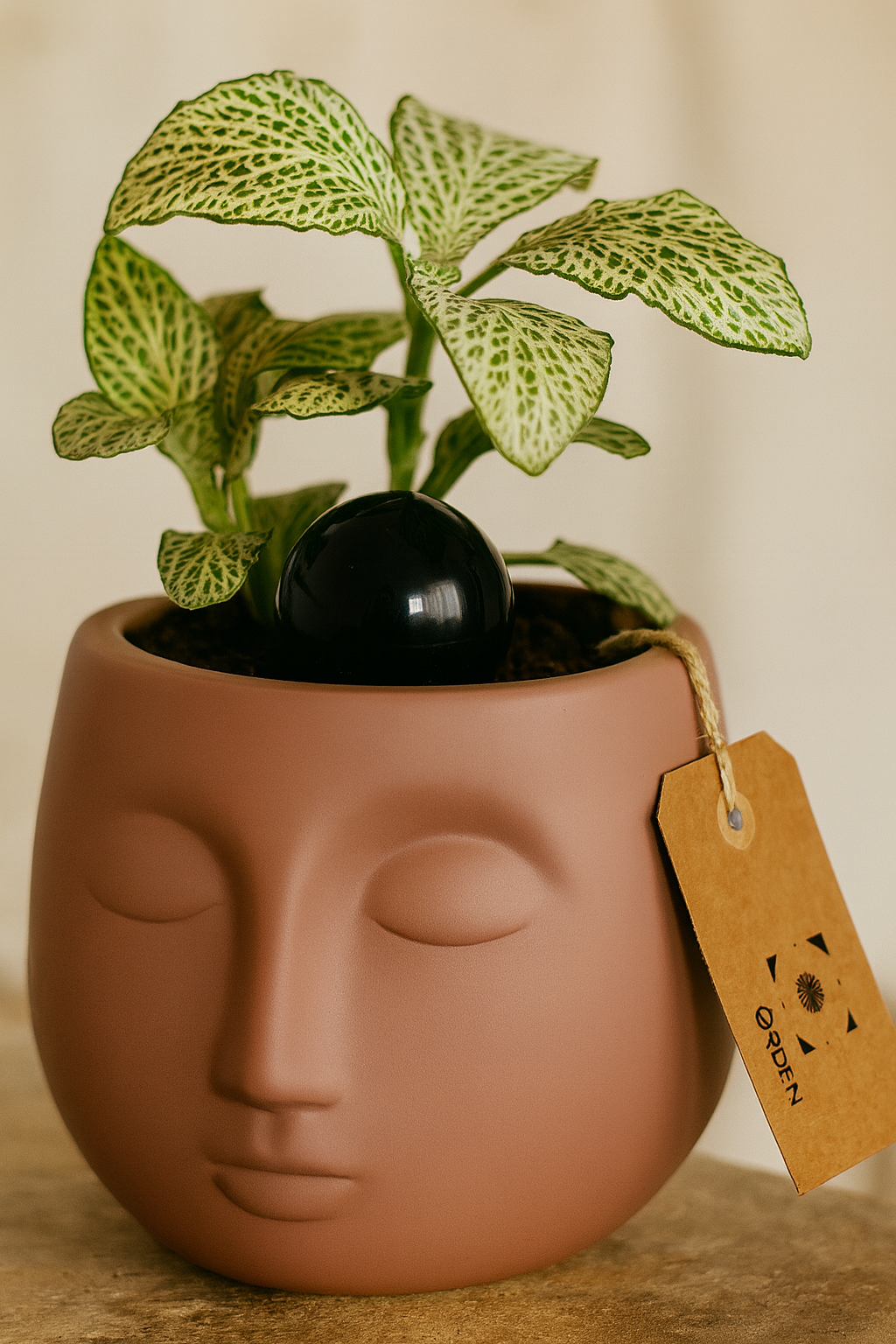 Dreaming of You 2.png