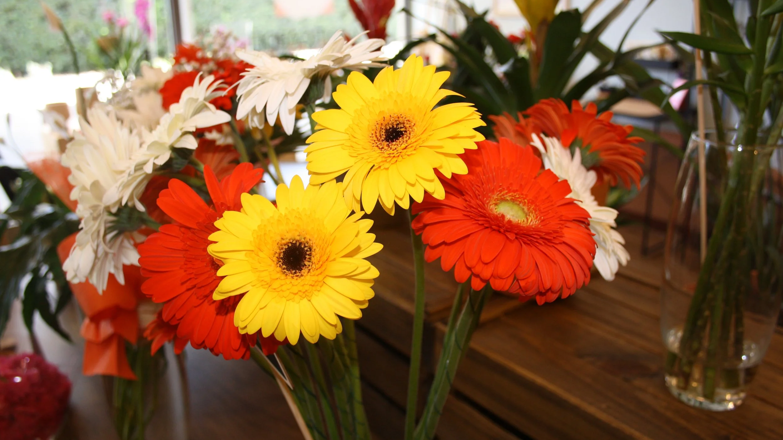 IMG_0527.png