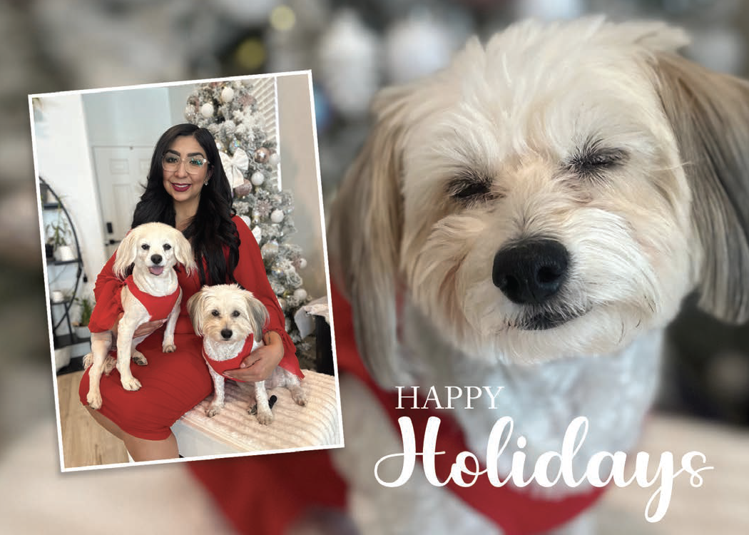 268095-Villeda-Holiday Cards Proof (1)_Page_1.png