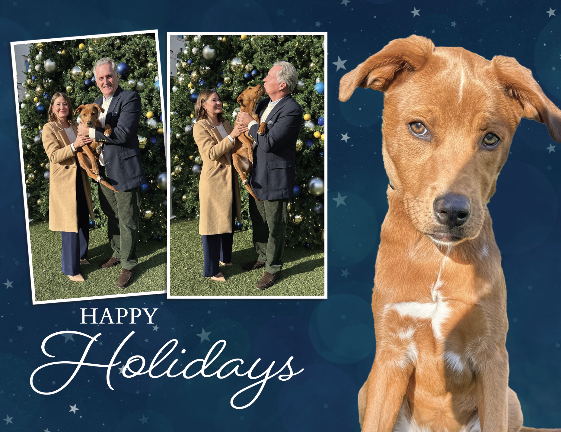 268097-McCarthy-Holiday Card Revised Proof_Page_1.png