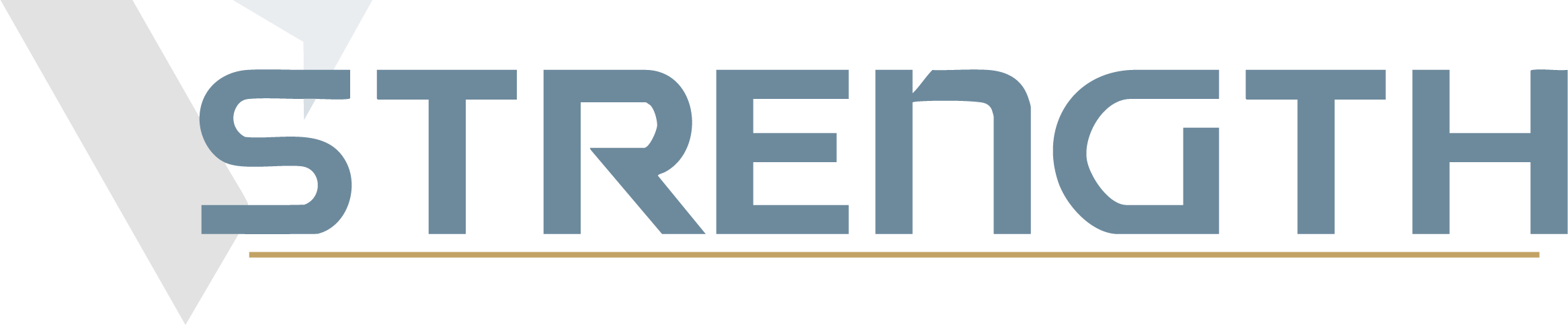 S T R E N G T H in large blue letters with a stylized V shape in black and grey in the background.