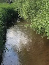 Whittlesey, summer 2024