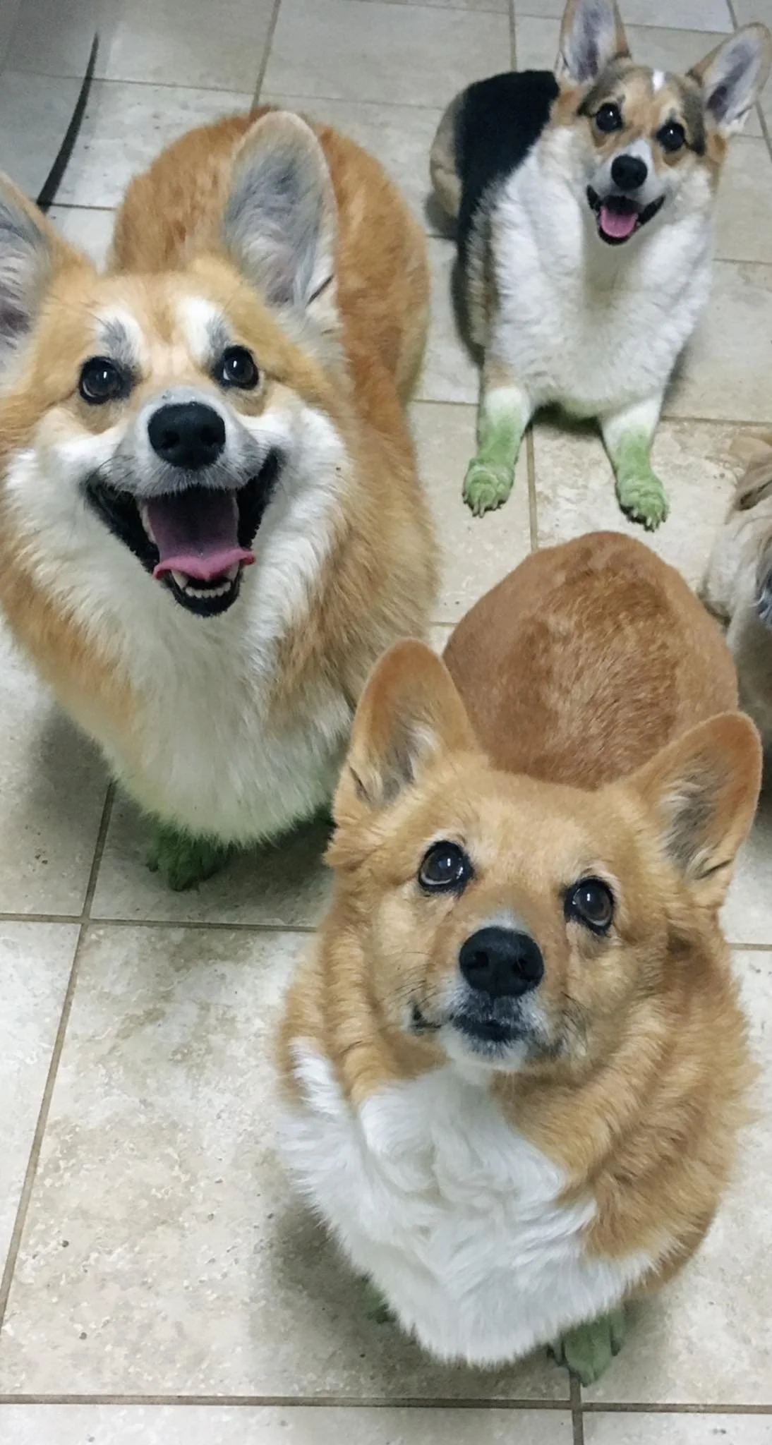 The 3 fools, SLV, Amelia, and Dave. Besties