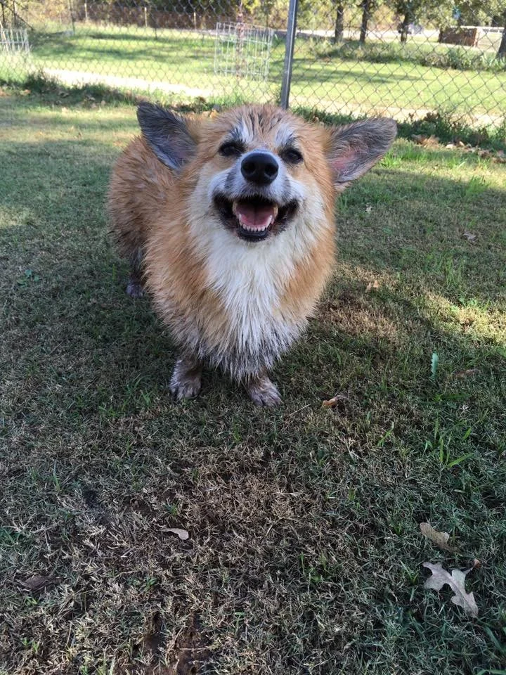 Even Amelia loved dirt.