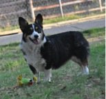 Bastille, the picture that inspired his new family