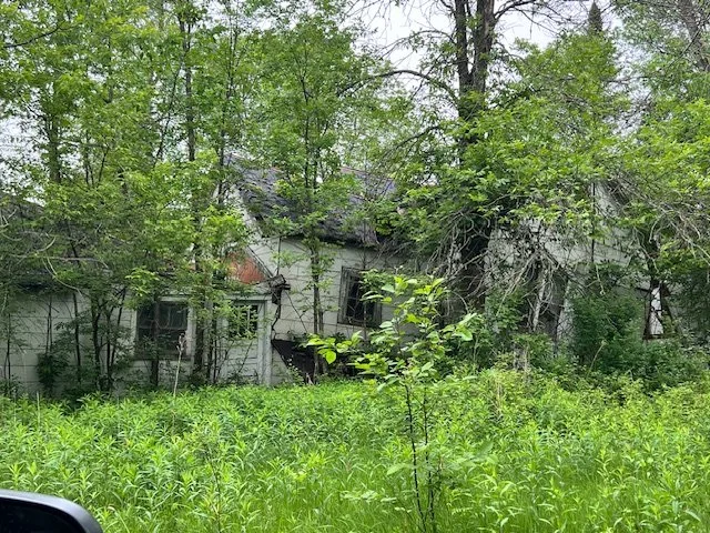 The farm, summer 2024