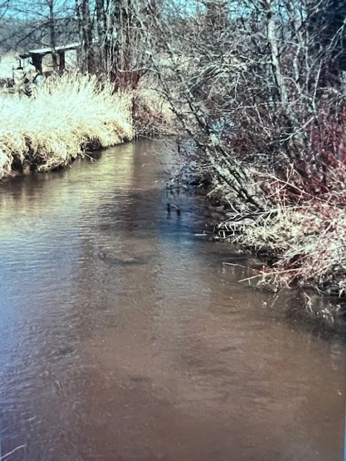 The creek on a late fall day, picture taken 2022 or so from the bridge on Cherryville Road. Just past the bend to the right would have been the walk bridge.
