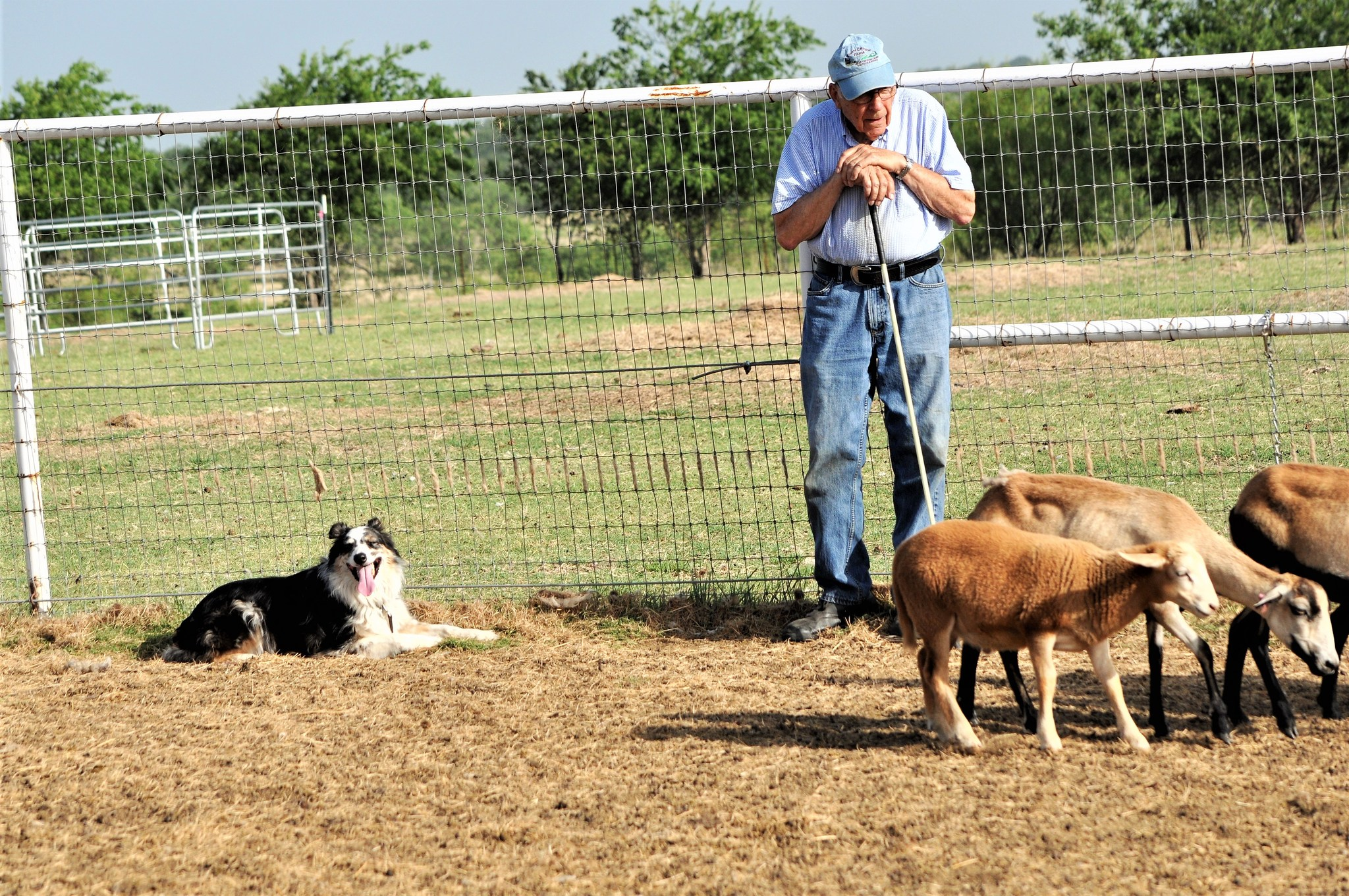 Fletcher and Liam. "I only need one cane."