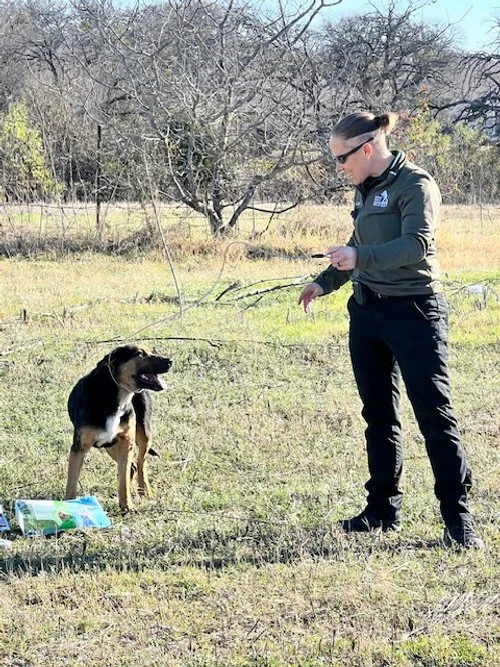 The leash that saved a thousand lives. Muscle memory