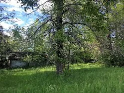 The farm, summer 2024 apx