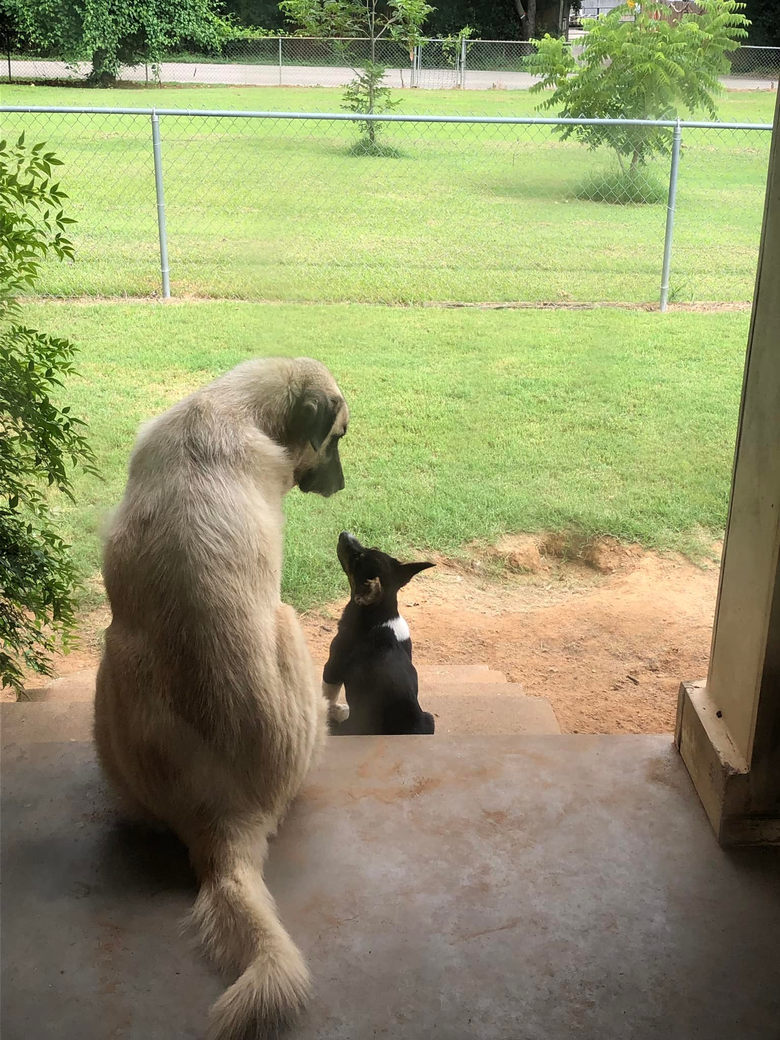 Gus the best boy. December 2013 to present.