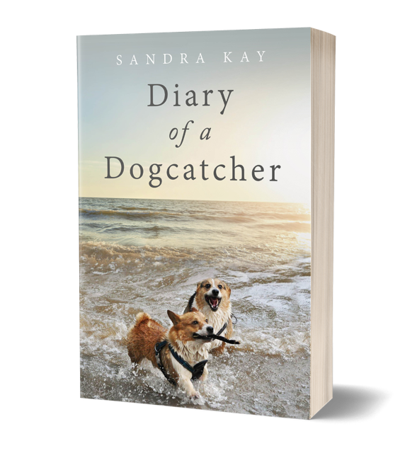 A book titled "Diary of a Dogcatcher" by Sandra Kay, featuring a beach scene with two happy dogs playing in the surf on the cover.
