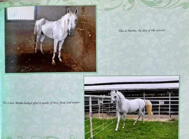 From near death to hope. A village of strong hearts can make miracles.