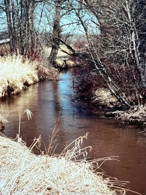 Whittlesey Creek, 2022.