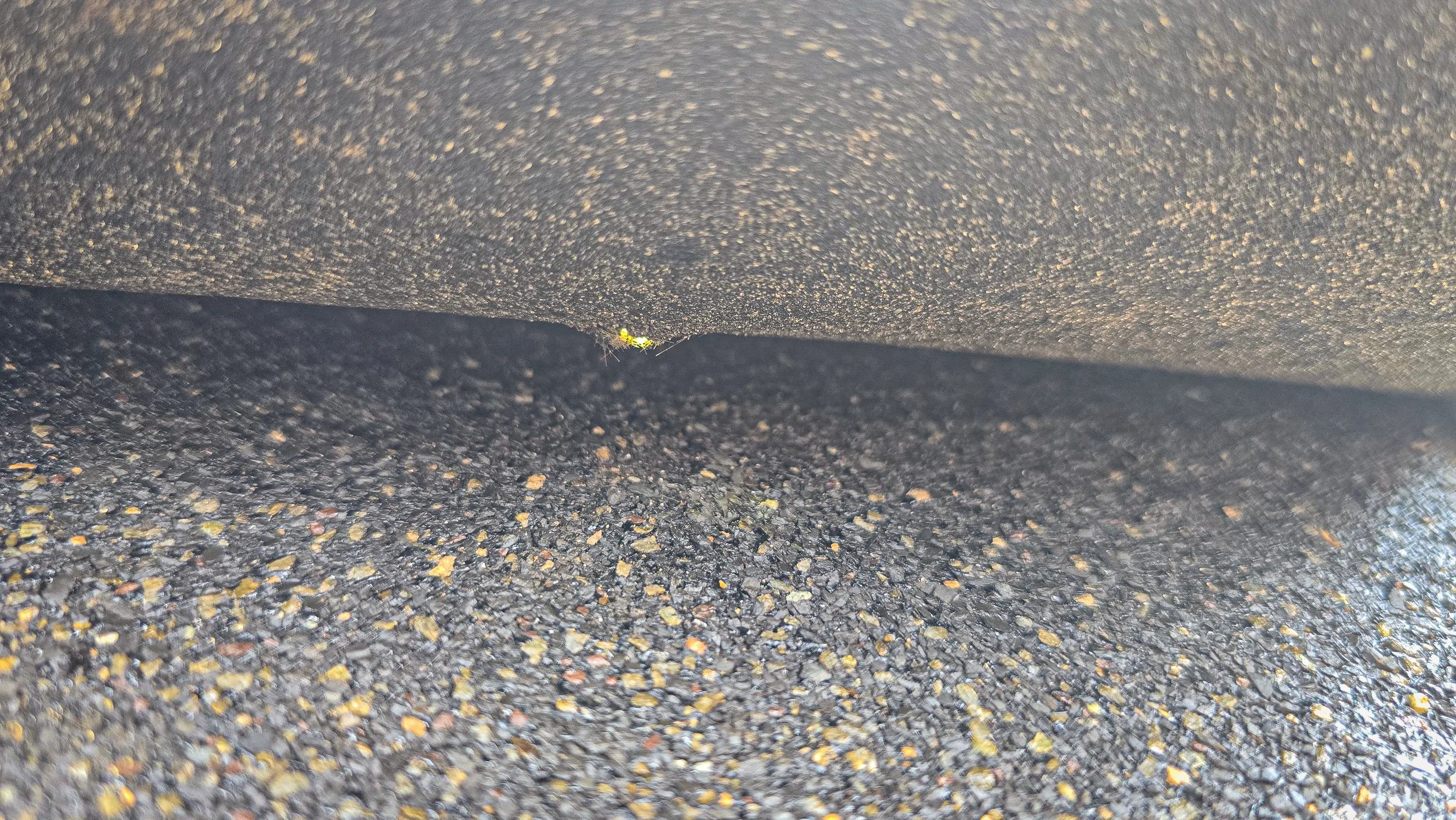 Hail impact. Hail damage. Hail to the roof. Hail damage to shingles.