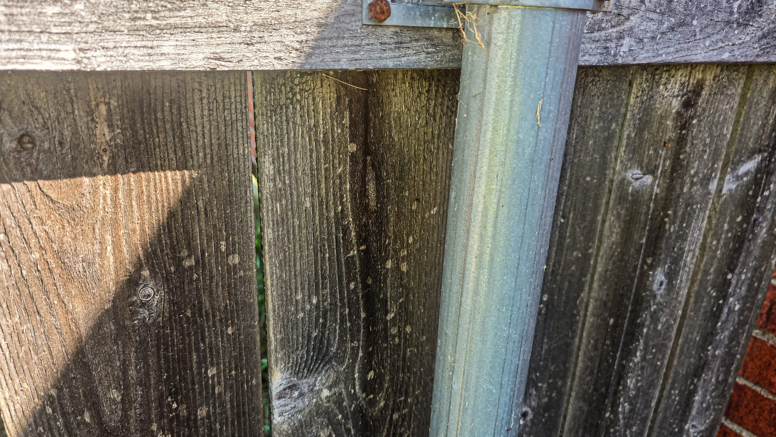 Close-up of weathered wooden fence panels, showing aged, darkened wood with some mold or dirt, and a metal fence post with a slight blue-green patina.