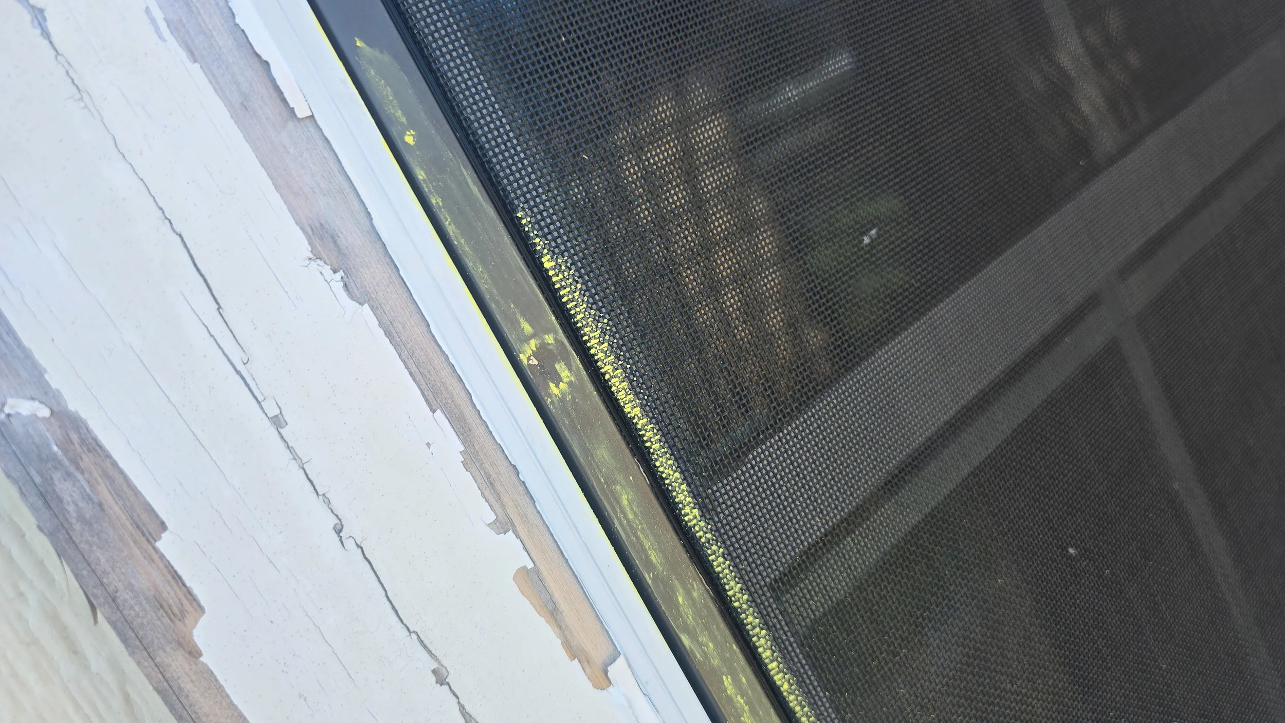 Close-up view of a window with a mesh screen, showing a white painted wooden frame and a crack in the paint.