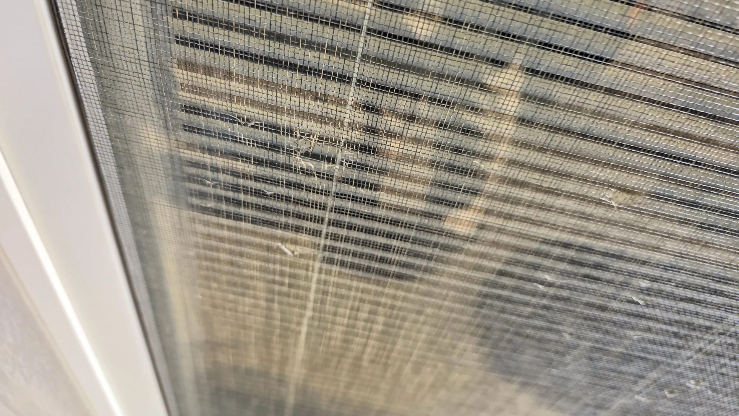 View through a window with a mesh screen, showing a building with multiple floors and balconies in the background.
