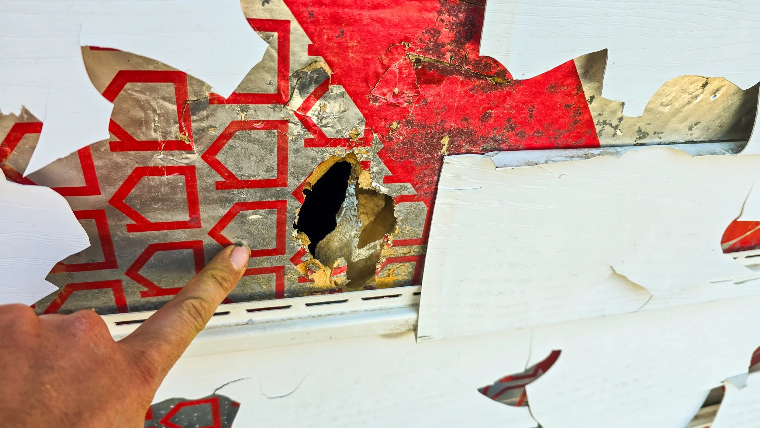 A hand pointing at a hole in peeling red and white wallpaper on a wall.