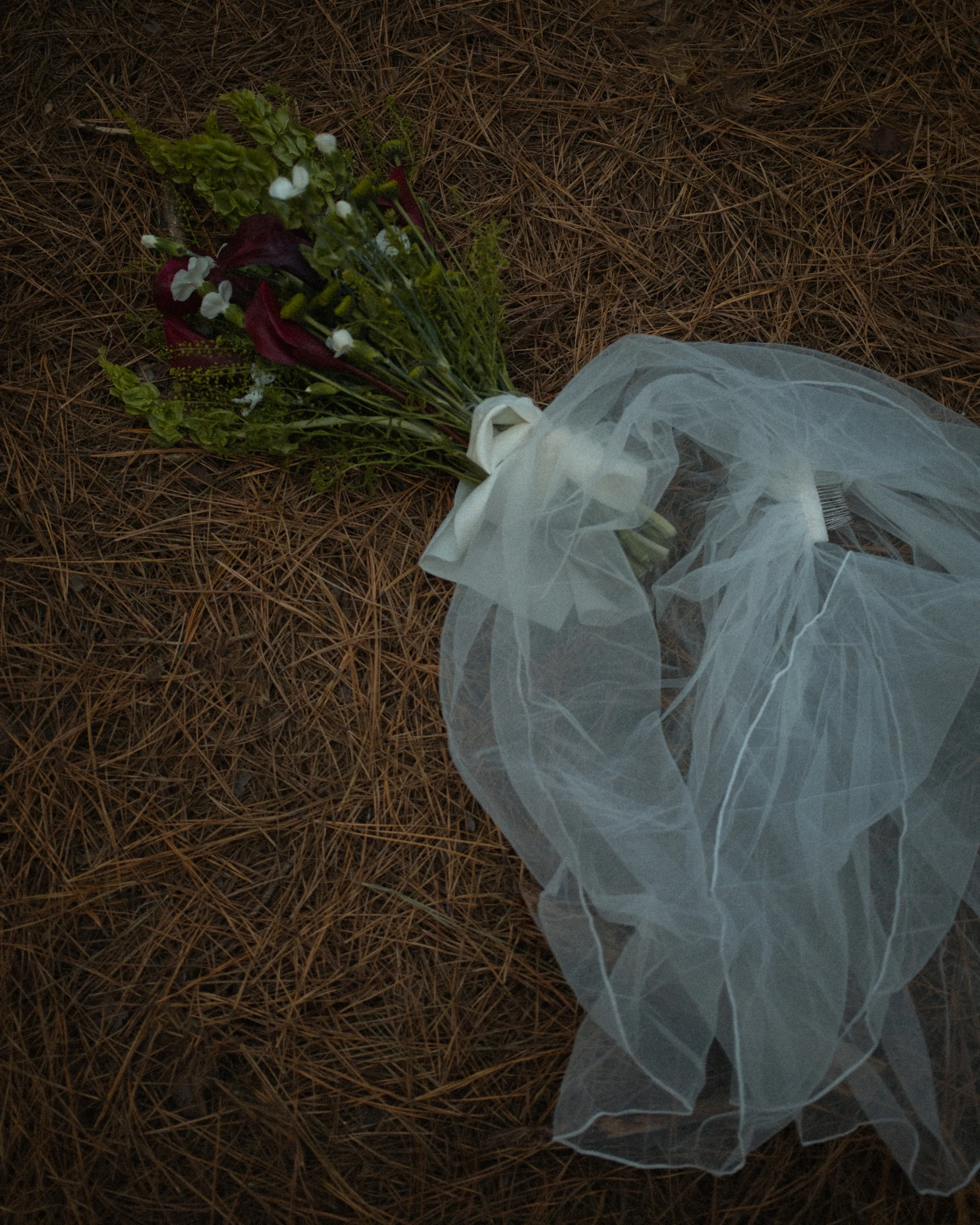 Film By Shauna-25.jpg