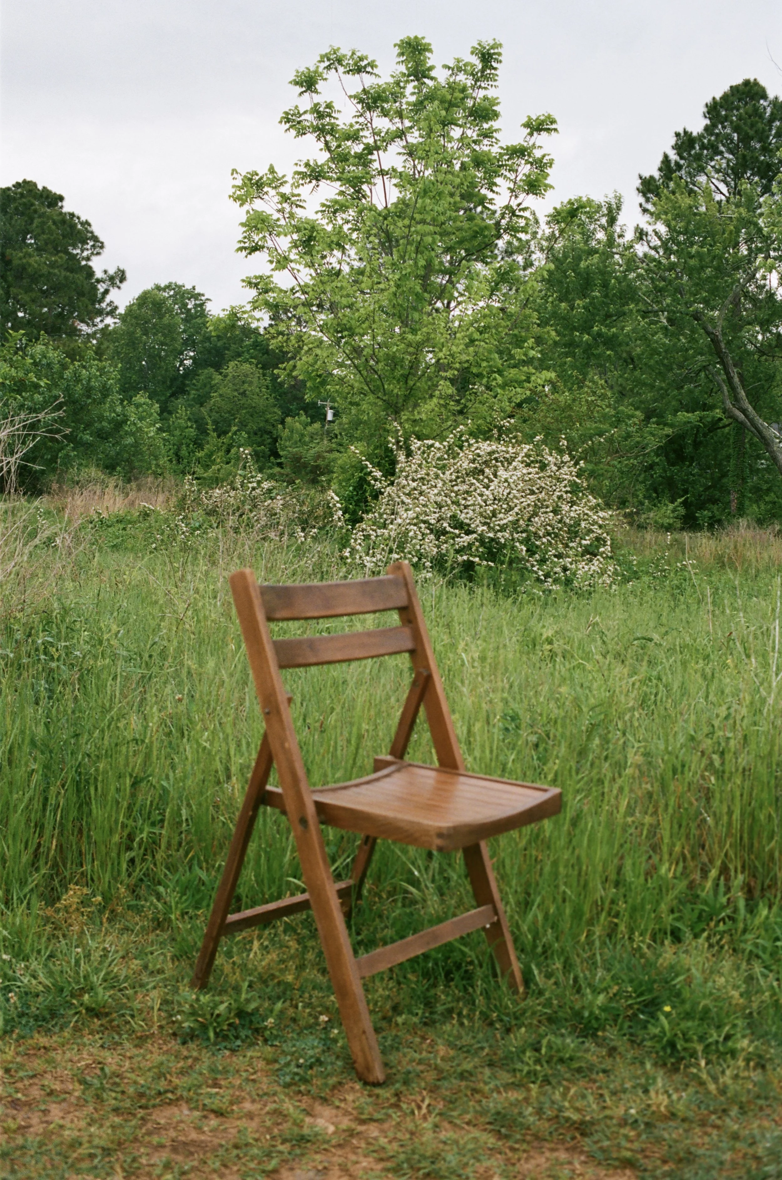 Mother’s Day Minis