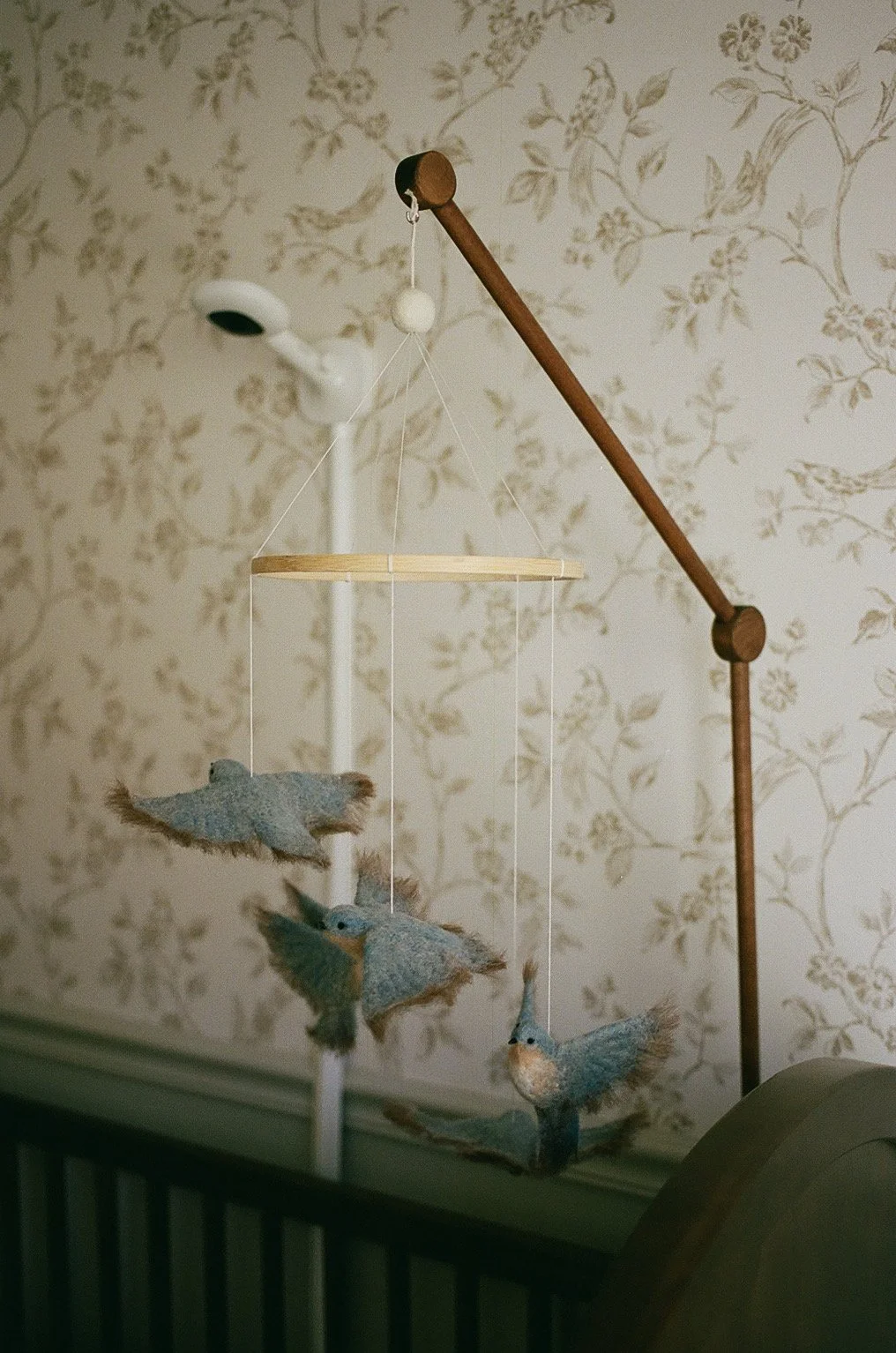 Film By Shauna-15.JPEG