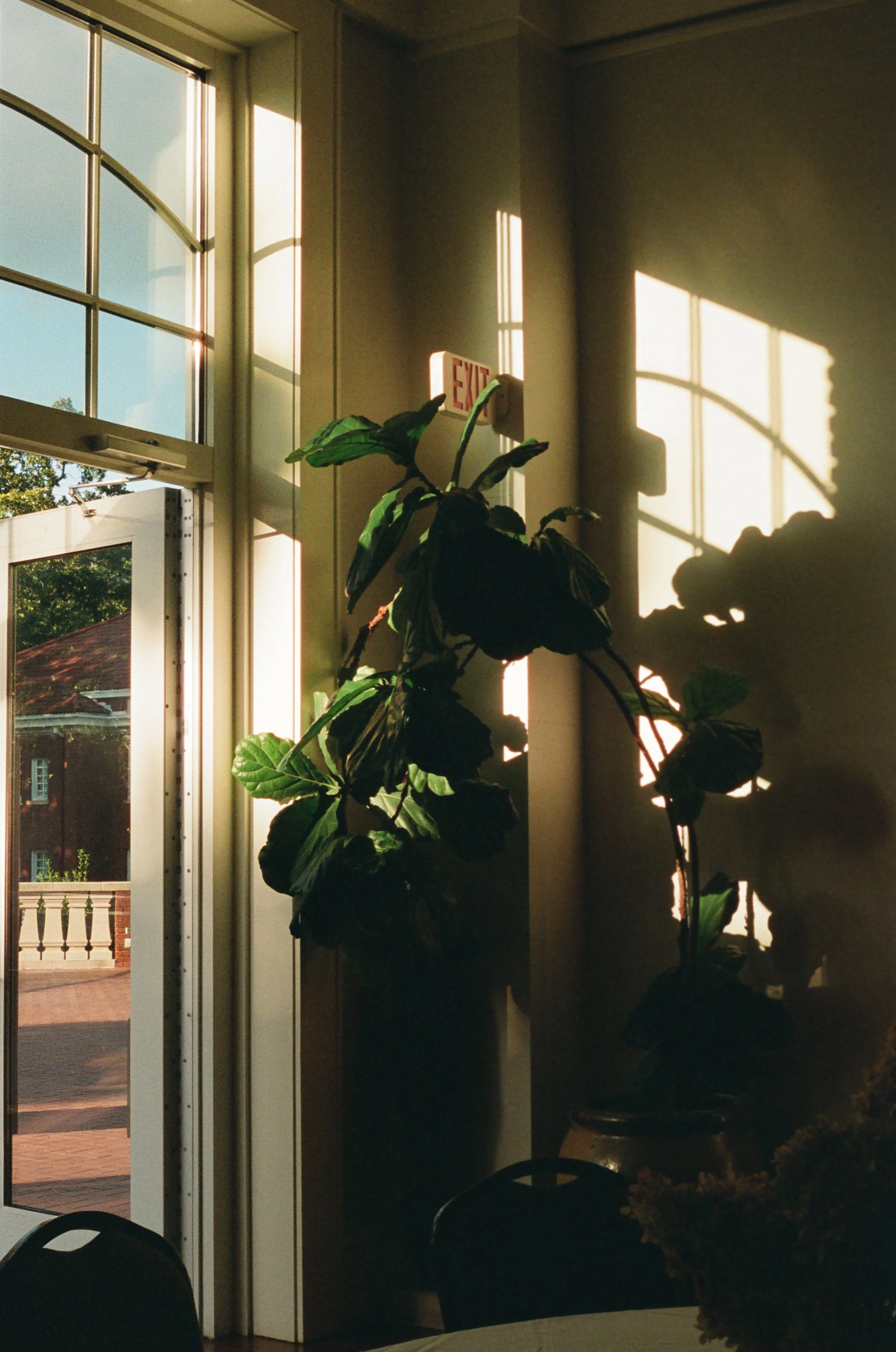 Film By Shauna a-15.jpg