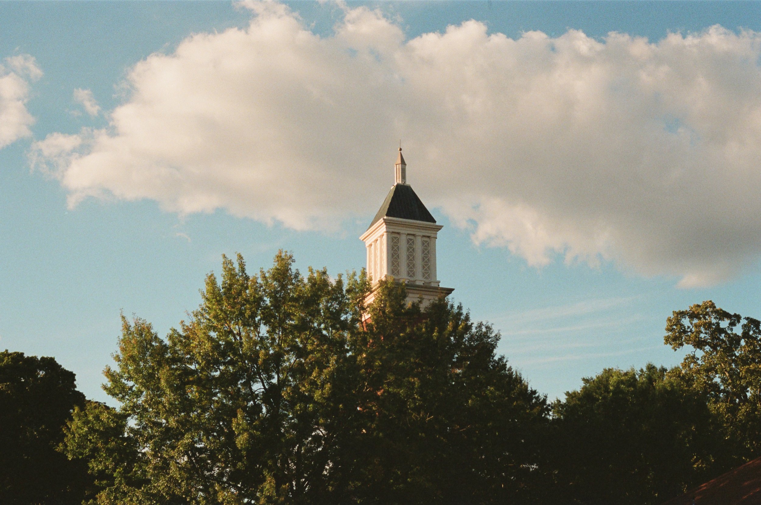 Film By Shauna a-13.jpeg